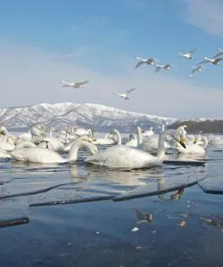 A beautiful view of Abashiri serviced by Memanbetsu Airport