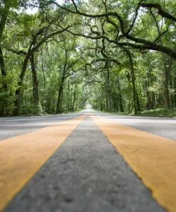 A beautiful view of Brooksville.