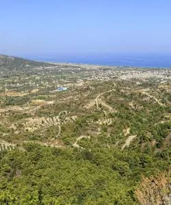 A beautiful view of Pastida
