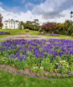 A beautiful view of Norbury.
