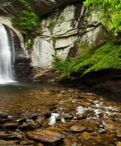 A beautiful view of Pisgah Forest