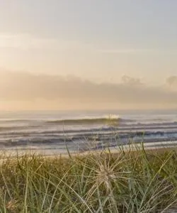 A beautiful view of Siesta Key