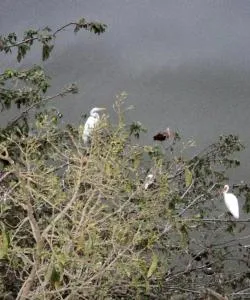A beautiful view of El Coacoyul – city popular among our users.