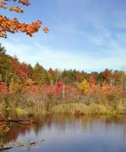 A beautiful view of Raynham
