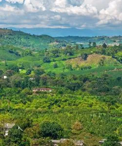 A beautiful view of La Tebaida – a popular city among our users
