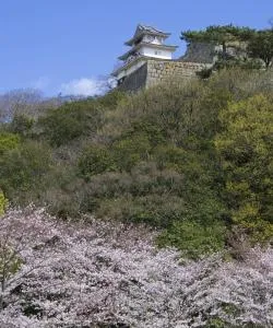 A beautiful view of Marugame