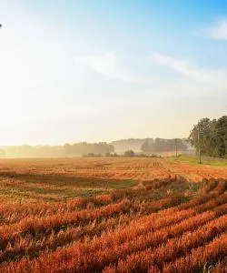 A beautiful view of Hopkinsville.