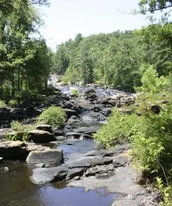 A beautiful view of Griffin