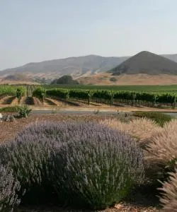 A beautiful view of Atascadero.