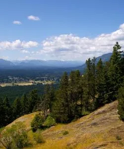 A beautiful view of Port Alberni