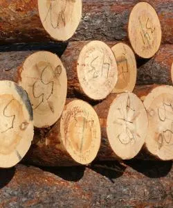 Een mooi uitzicht op Salo