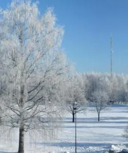 A beautiful view of Järvenpää – a popular city among our users