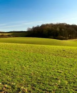 A beautiful view of Holsbeek