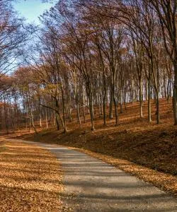 A beautiful view of Ungheni – city popular among our users.