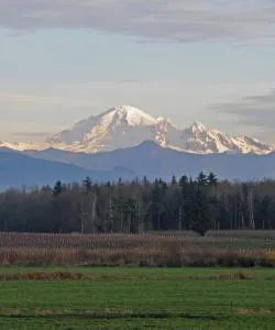 A beautiful view of Bellingham