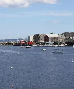 A beautiful view of Belfast – a popular city among our users