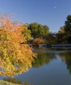 A beautiful view of Garner.