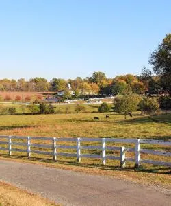 A beautiful view of Barboursville.