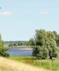A beautiful view of Riesa