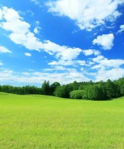A beautiful view of Chaudfontaine – a popular city among our users