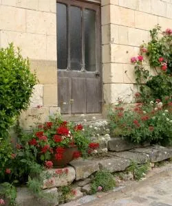 A beautiful view of Parçay-Meslay.