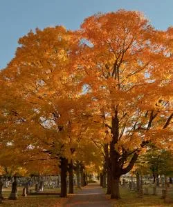 A beautiful view of Natick