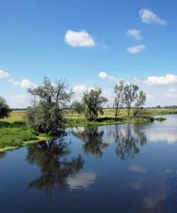 A beautiful view of Diez.