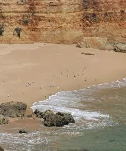 A beautiful view of Torres Vedras