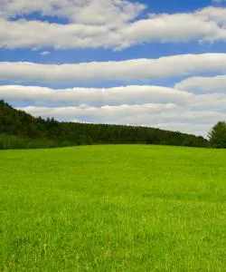 A beautiful view of Goshen