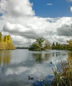 A beautiful view of Welling