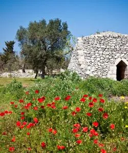 Krásný pohled na město Modugno