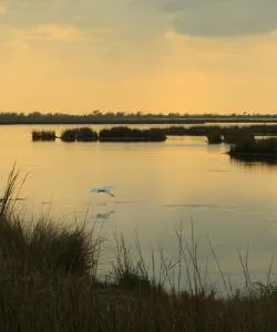 A beautiful view of Laplace.