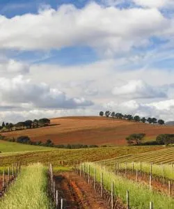 A beautiful view of Louis Trichardt.