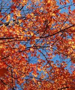 A beautiful view of Lebanon serviced by Lebanon Municipal.