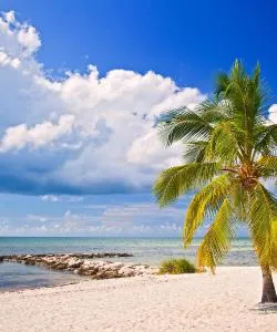 A beautiful view of Stock Island – city popular among our users.