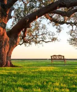 A beautiful view of Mandeville