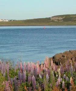 Una bonita panorámica de Digby