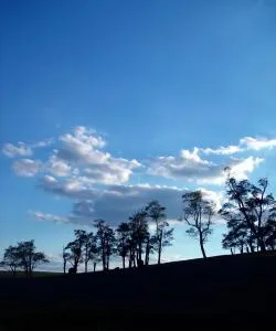 Una bonita panorámica de Campbellsville