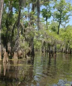 Una bonita panorámica de Clarksdale