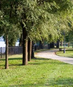 A beautiful view of Burlington.