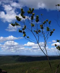 A beautiful view of Ouro Branco