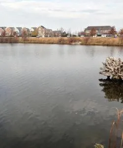 A beautiful view of Willmar.