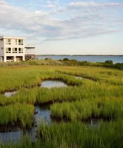 A beautiful view of Riverhead