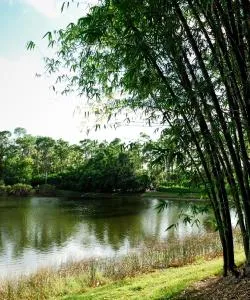 A beautiful view of Toyonaka – a popular city among our users