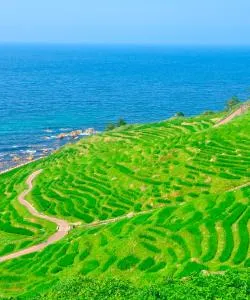 A beautiful view of Komatsu
