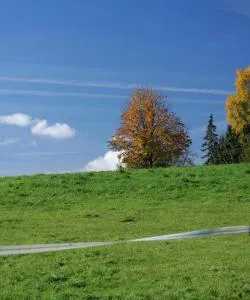 A beautiful view of Rinteln – a popular city among our users
