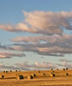 A beautiful view of Okotoks