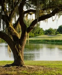 A beautiful view of Milton.