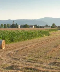 A beautiful view of Thiene