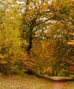 A beautiful view of Southborough – a popular city among our users